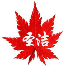 筑牢安全防线，守护劳动者健康——胶州市圣洁劳保用品厂的劳保用品选择之道